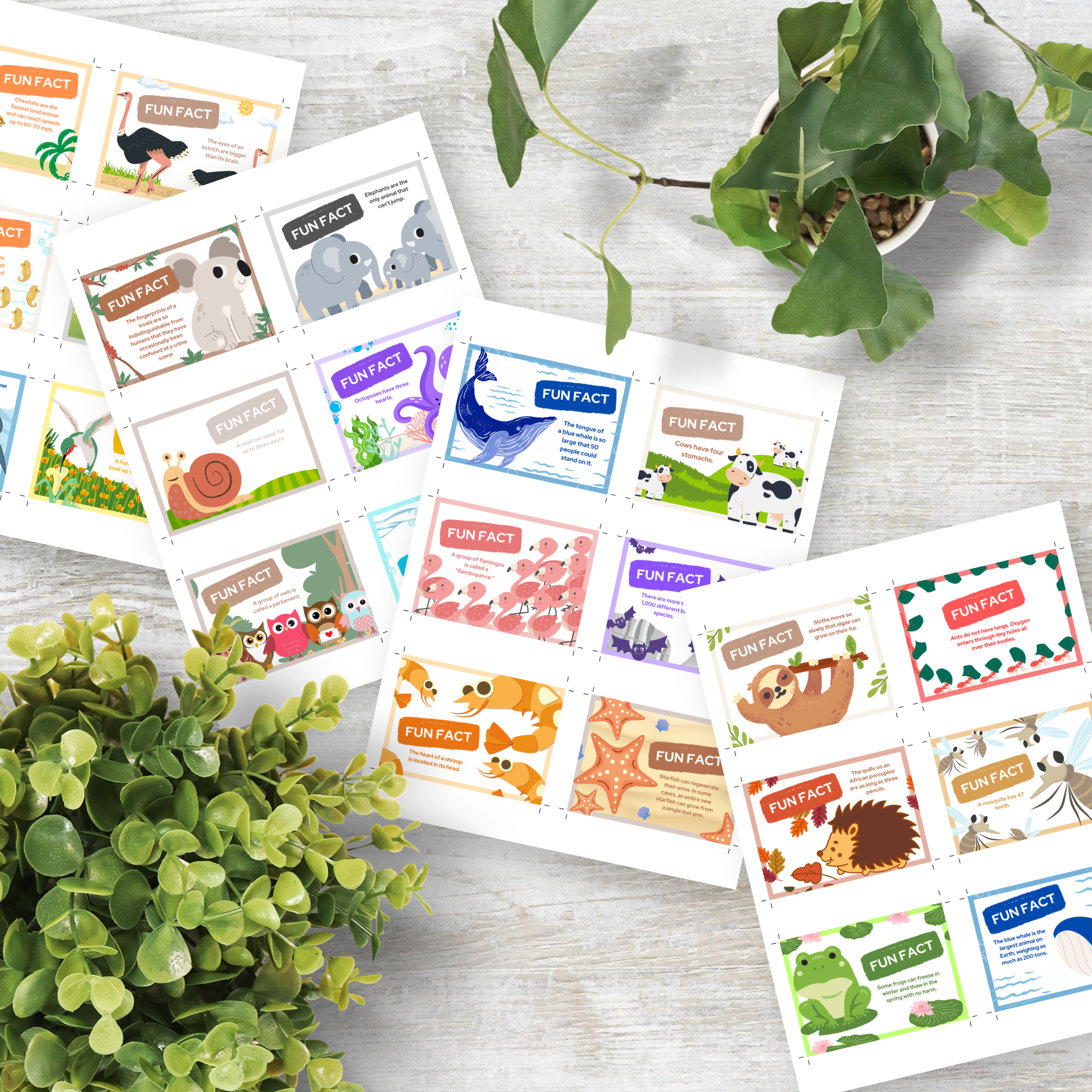 Animal Fun Facts Cards | 50 Printable Educational Cards for Kids