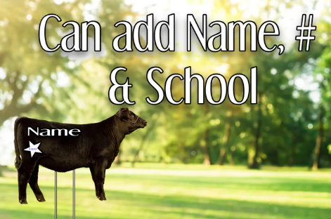 Custom Sporty Yard Signs Single Sided